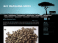 buy-marijuana-seeds.nl