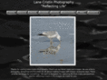 lanecristinphotography.com