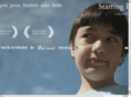 starringdavid.com