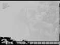 2toneproductions.com