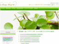 blue-leaves.com
