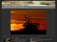 carolbarnard.com