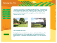 dancingsunfarm.com