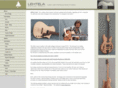 lehtelaguitarcraft.com