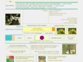 rshanthini.com