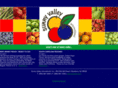 sunnyint.com