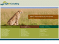agileitconsulting.com