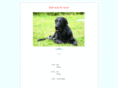 ishi-exa.com