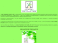 centrovehicularcaribe.com