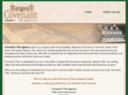 covenanttitleagency.com