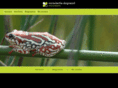 marieberthe.com