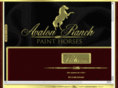 avalonranchpainthorses.com