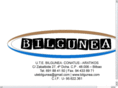 bilgunea.com