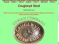 cruglwyd.com