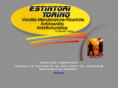 estintoritorino.com