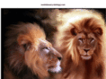 evolutionary-biology.com