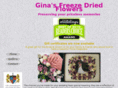 ginasfdf.com