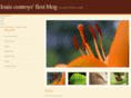 louisconroy.com