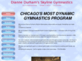 skylinegymnasticschicago.com