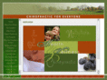 adkinschiropractic.com
