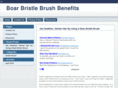 bristlebrush.net