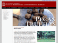 pecantruffles.com