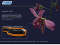 floralinedisplay.com