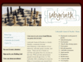 labyrinthgameshop.com