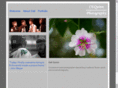 3x5archive.com