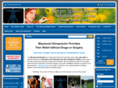 bergenspine.com