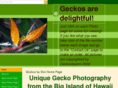 geckosbyemi.com