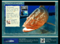 pcbfishing.com