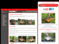 premierbaits.com