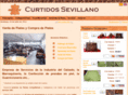 curtidossevillano.com