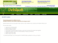 debilsoft.com