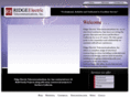ridgeelectric.biz