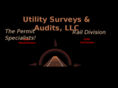 usauditsllc.com