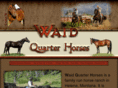waidquarterhorses.com