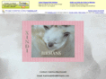 xindibirmans.com