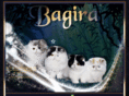 bagiracat.com