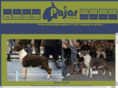 bullterrier-pajar.com