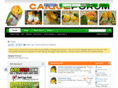 caiqueforum.com