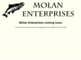 molanenterprises.com