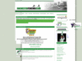 rochesterfencing.com