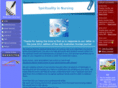 spiritualitynursing.com