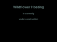 wildflowerhosting.com