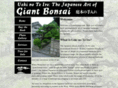 giantbonsai.com