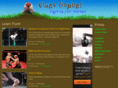 videogopher.com