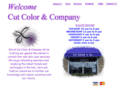 cutcolorandcompany.com