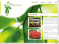 agroambientalistas.com